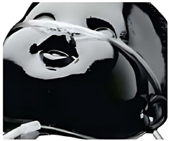 Cánula Nasal Suave Softech® SL